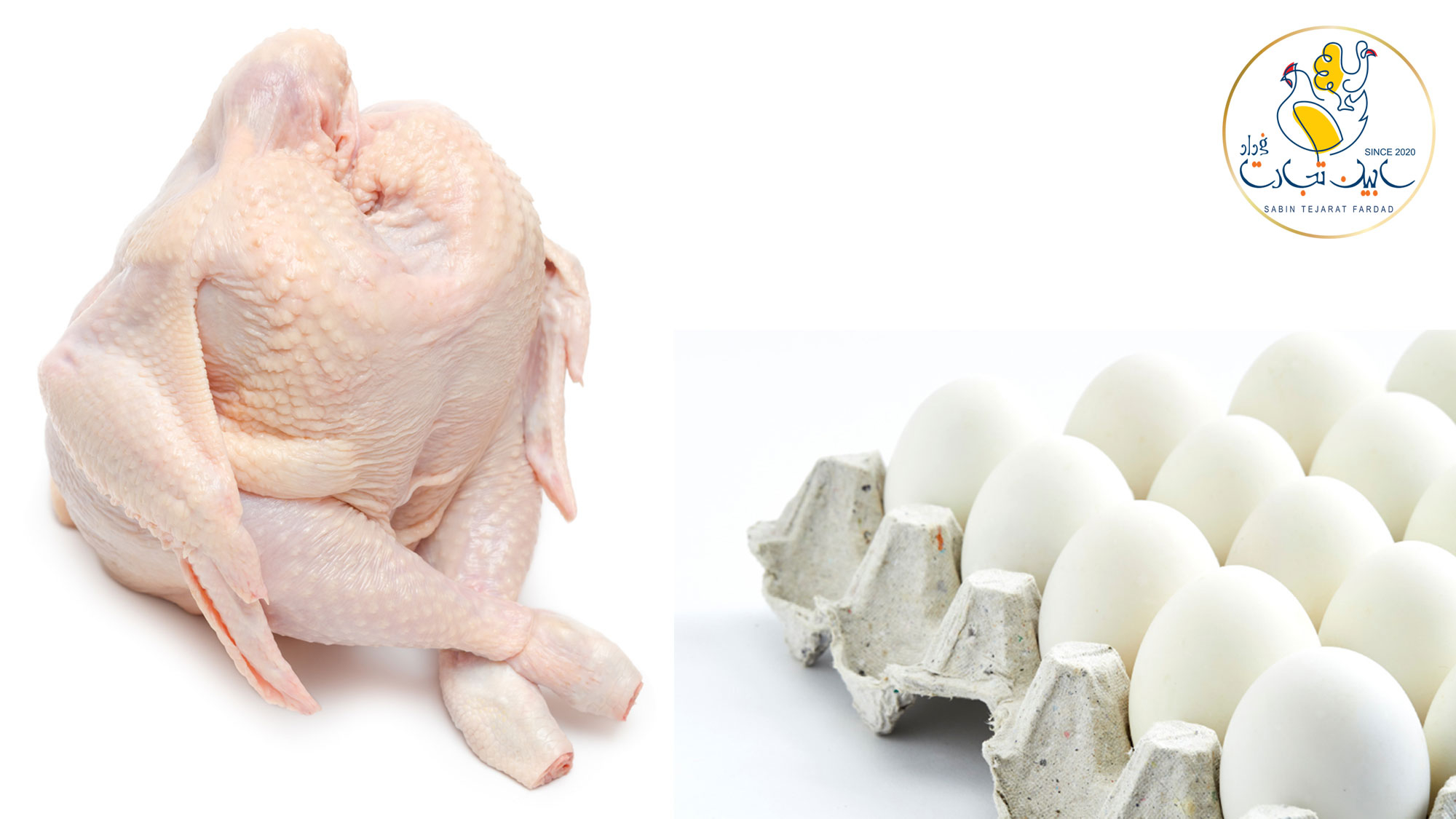 خرید گوشت مرغ و تخم‌مرغ مازاد از تولیدکنندگان