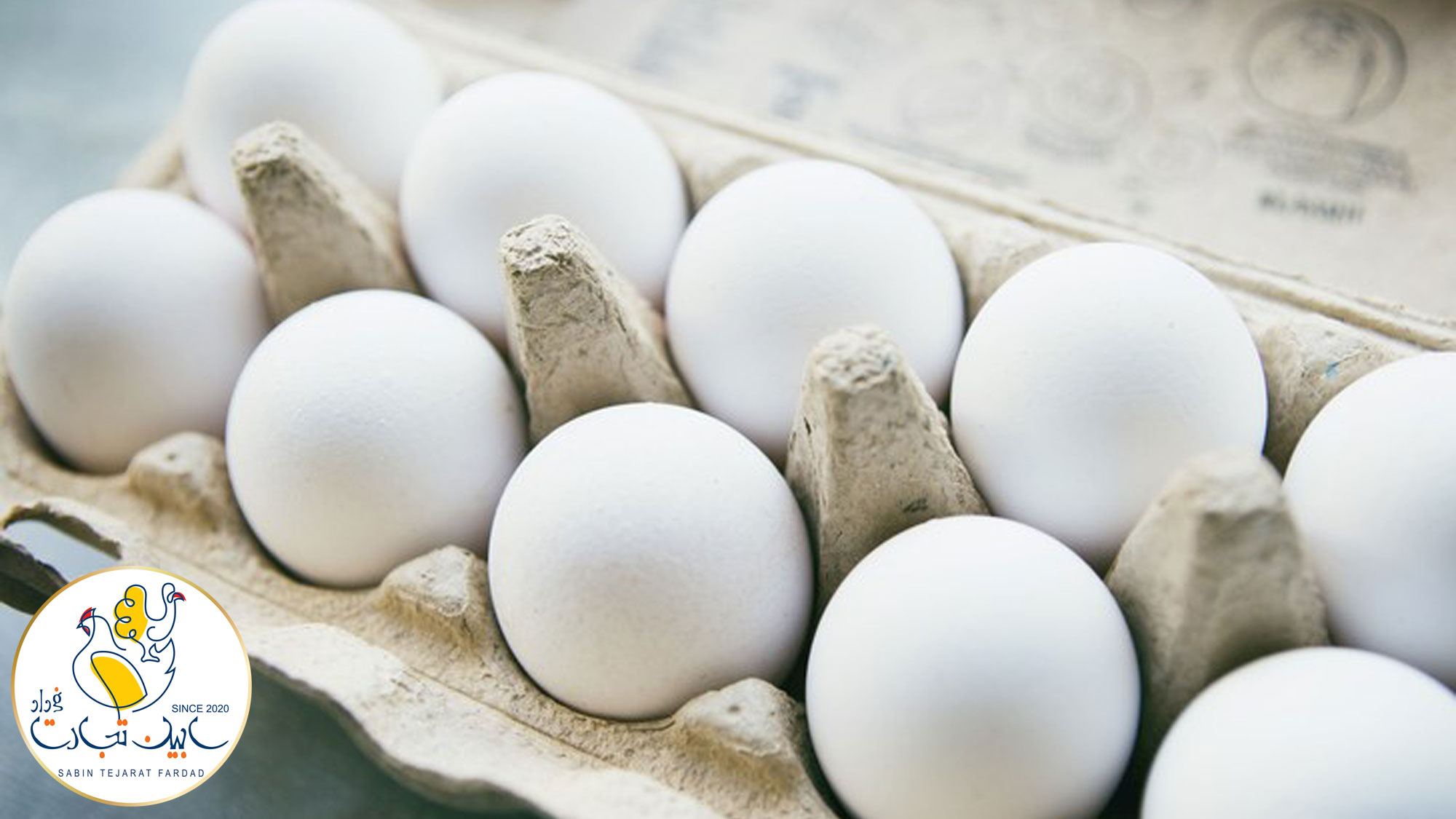 تخم مرغ ۲۰ درصد از نرخ مصوب ارزانتر شد