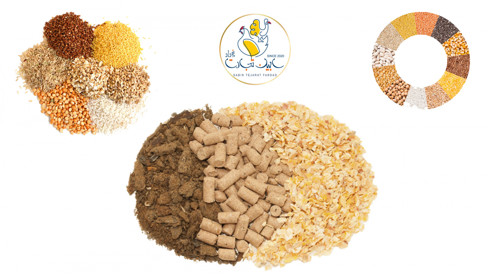 دپوی نهاده در بندر امام