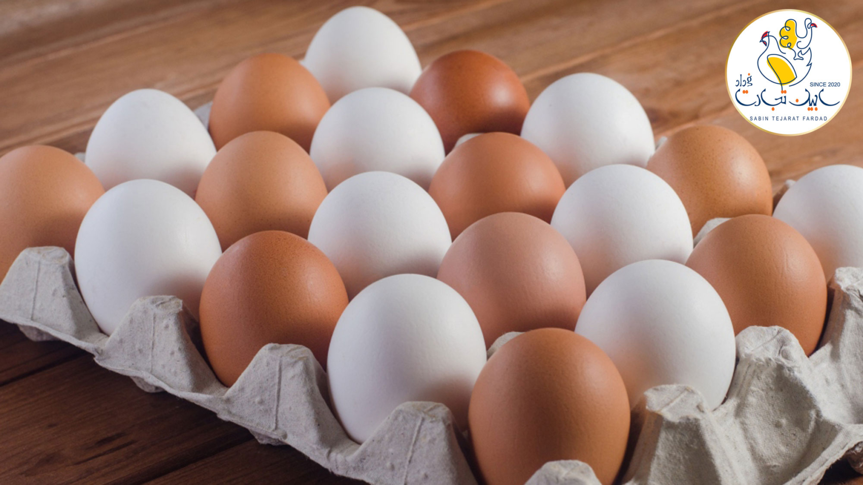 واردات تخم مرغ از کشور ترکیه لغو شد