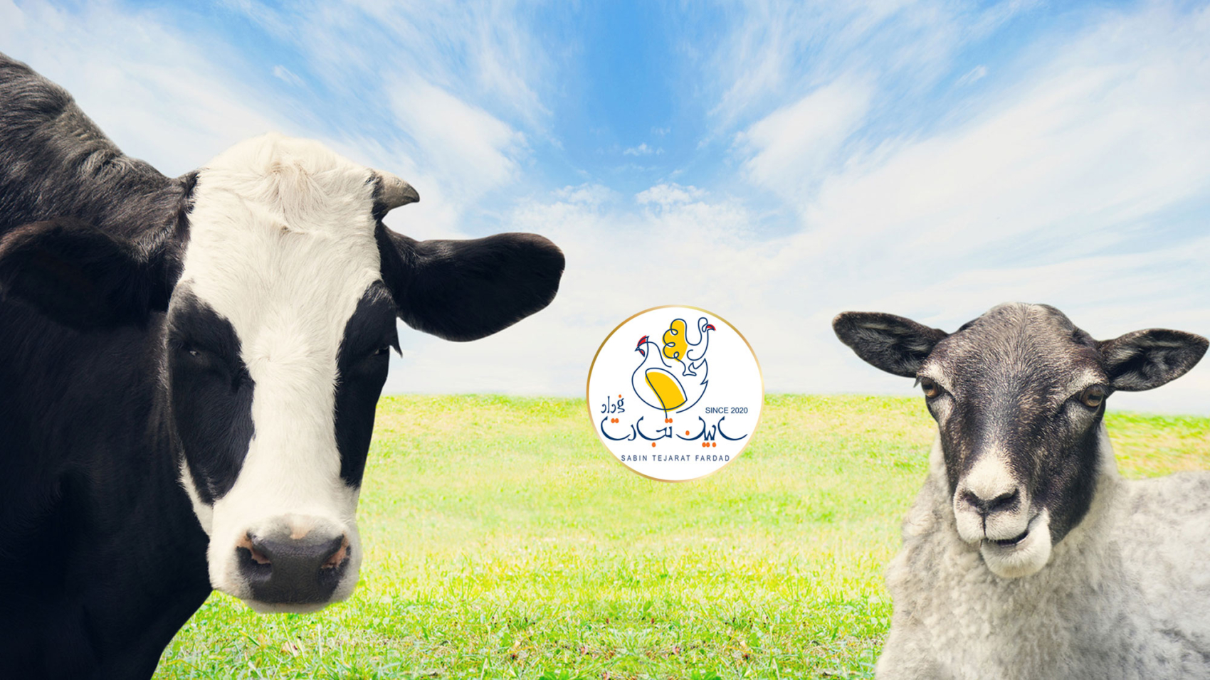 هیچ دام سنگینی صادر نشده است
