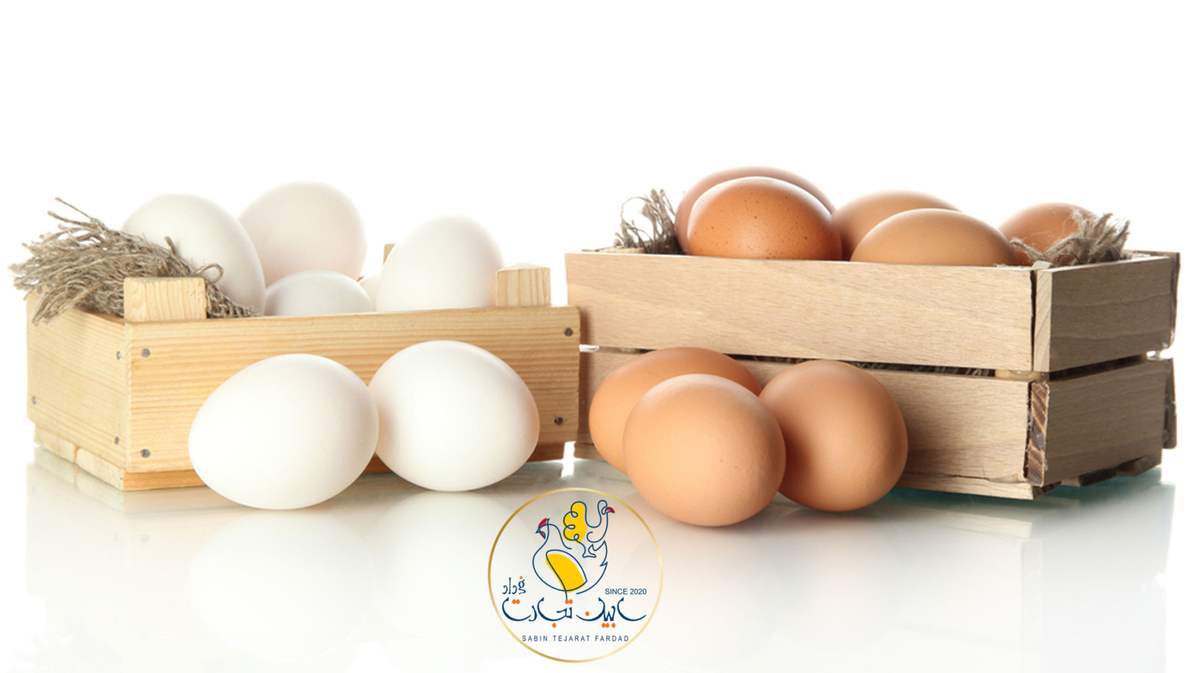 افزایش ظرفیت تولید تخم مرغ