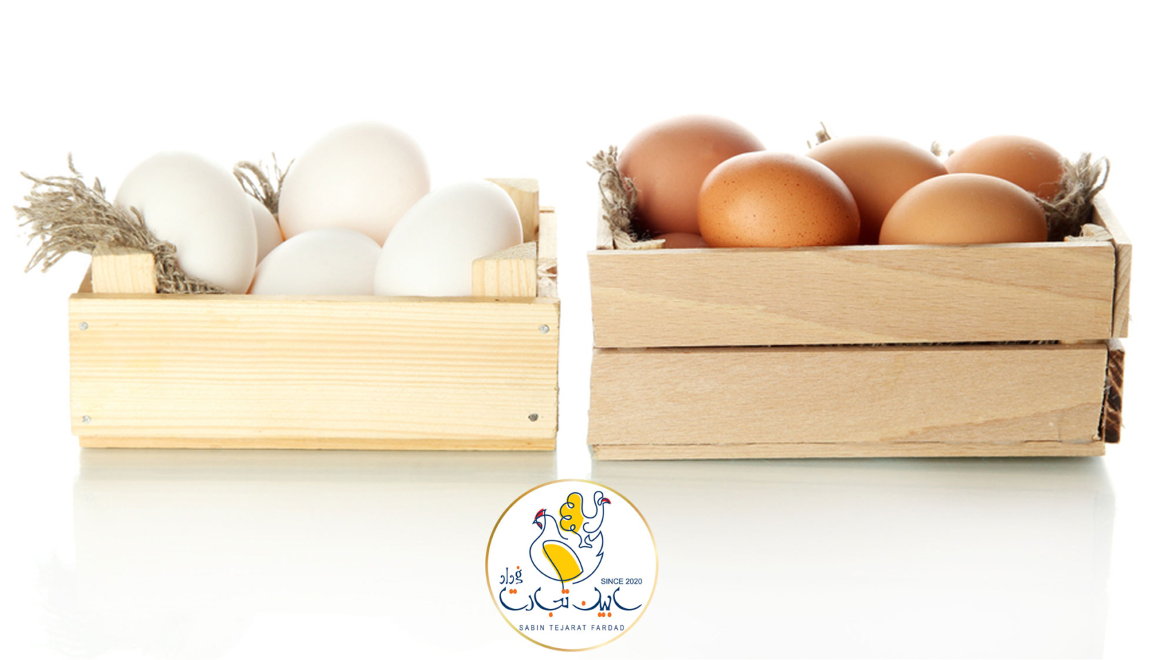۱۲۰ تن تولید تخم مرغ در ۱۸ واحد پرورشی گلستان