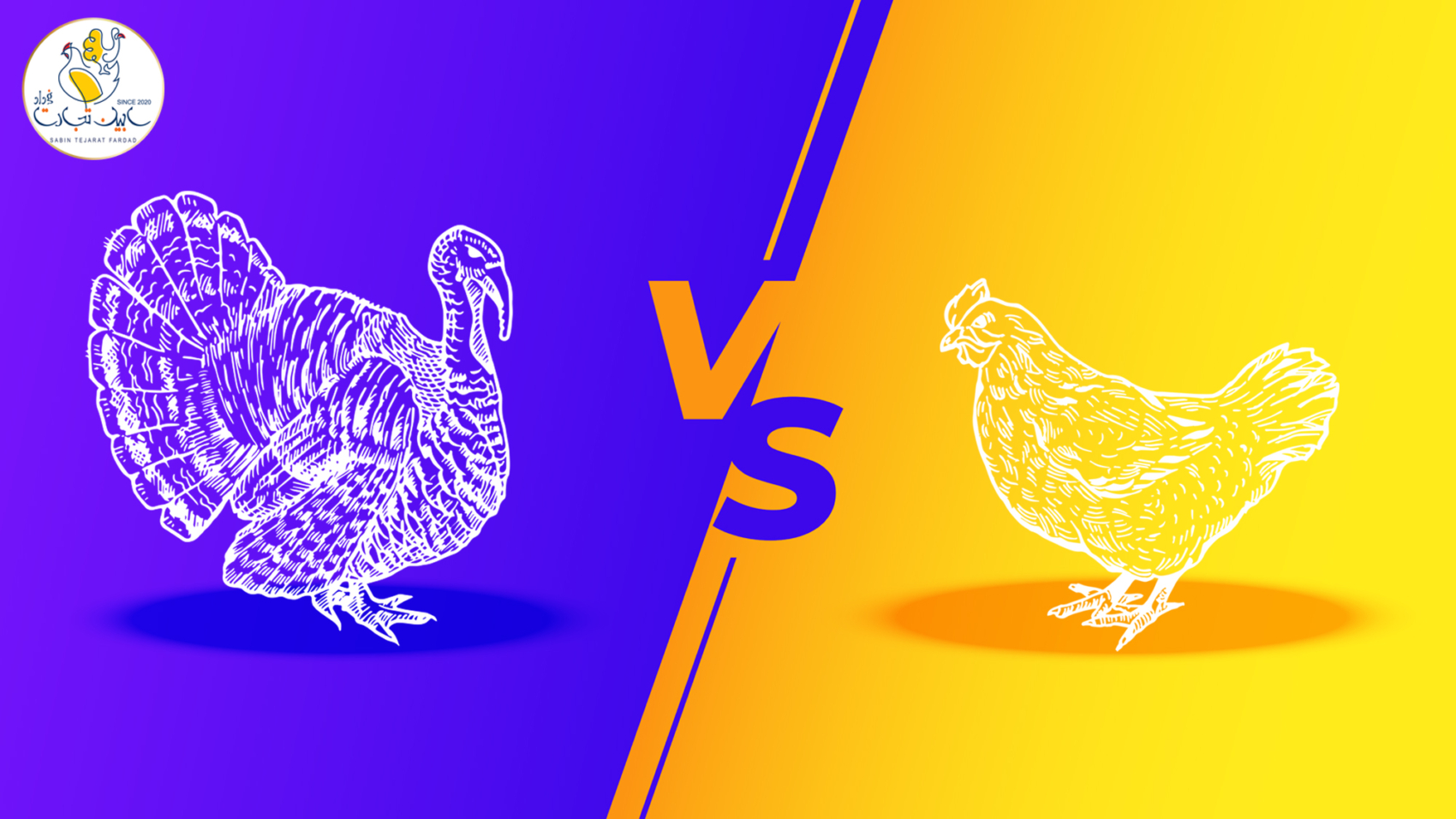 مقایسه گوشت بوقلمون با گوشت مرغ