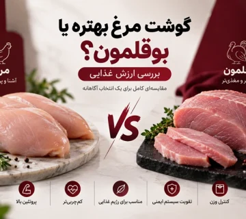 گوشت مرغ بهتره یا بوقلمون
