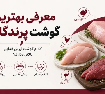 بهترین گوشت پرندگان