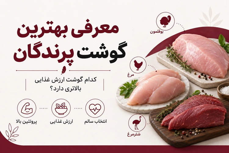 بهترین گوشت پرندگان